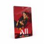 Plastic Ibis hotel key card